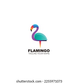 flamingo colorful design vector logo template