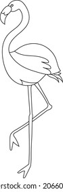 Flamingo coloring page vector art and illustration