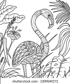 Coloring Page Flamingo High Res Stock Images Shutterstock