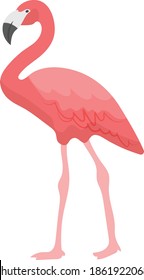 Flamingo concept vector color icon design, Mexican culture symbol on White background, Customs and Traditions Signs, cinco de Mayo federal holiday elements