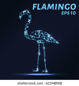 Flamingo consists of points, lines and triangles. The polygon shape in the form of a silhouette of a Flamingo against a dark background Vector illustration