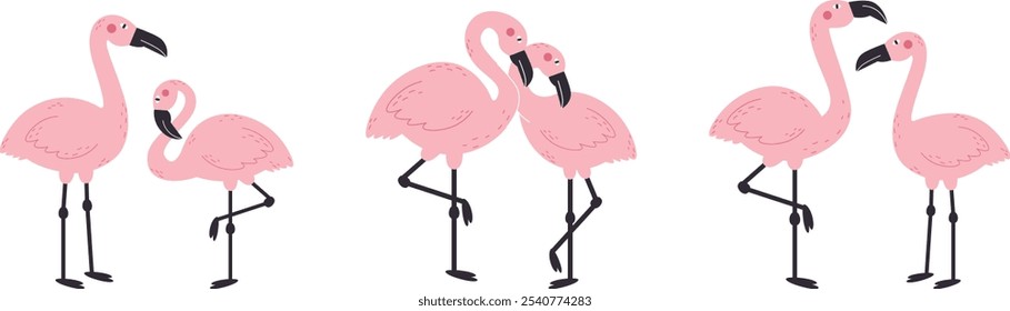 Flamingo couples love each other. Pink exotic bird on white background. 