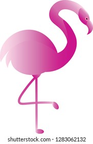 flamingo cute animals fashion vector illustration