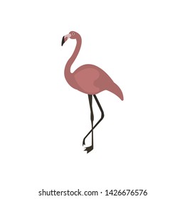 flamingo cute cartoon icon vector on a white background