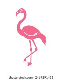 Flamingo, diseño flamingo, Flamingo Clipart,