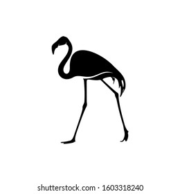 Flamingo design vector, Black silhouette of a flamingo bird, standing on one leg, isolated.