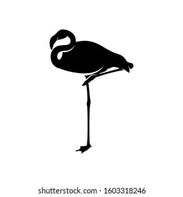 Flamingo design vector, Black silhouette of a flamingo bird, standing on one leg, isolated.