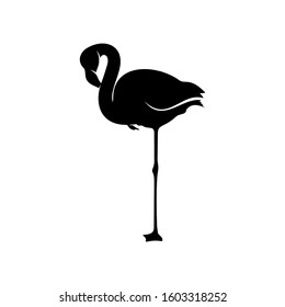 Flamingo design vector, Black silhouette of a flamingo bird, standing on one leg, isolated.