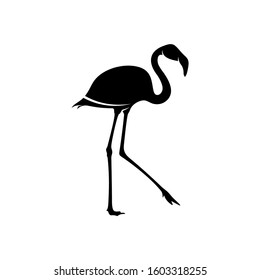 Flamingo design vector, Black silhouette of a flamingo bird, standing on one leg, isolated.