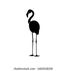 Flamingo design vector, Black silhouette of a flamingo bird, standing on one leg, isolated.