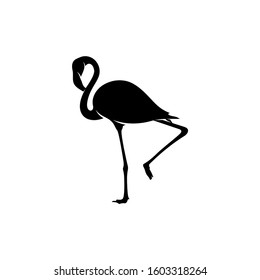 Flamingo design vector, Black silhouette of a flamingo bird, standing on one leg, isolated.