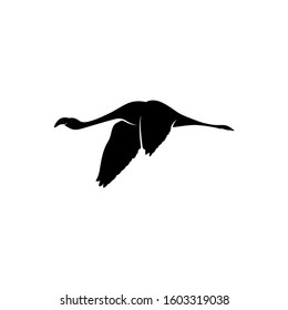 Flamingo design vector, Black silhouette of a flamingo bird, standing on one leg, isolated.