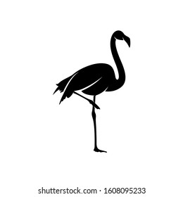 Flamingo design vector, Black silhouette of a flamingo bird, standing on one leg, isolated.