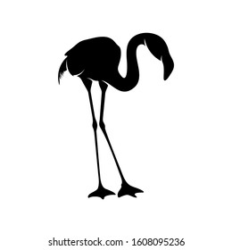 Flamingo design vector, Black silhouette of a flamingo bird, standing, isolated.