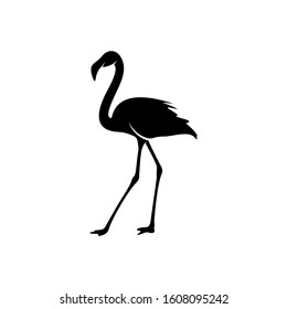 Flamingo design vector, Black silhouette of a flamingo bird, standing, isolated.
