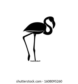 Flamingo design vector, Black silhouette of a flamingo bird, standing on one leg, isolated.