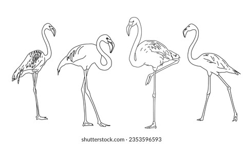 Ilustración de línea digital Flamingo. Pasos 10