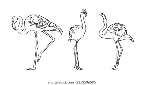 Flamingo digital line drawing illustration. eps 10