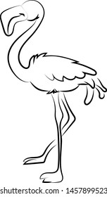 Dibujo Flamingo, ilustración, vector sobre fondo blanco.