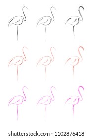 flamingo drawing vector illustration