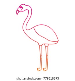 flamingo exotic bird decorative flat design