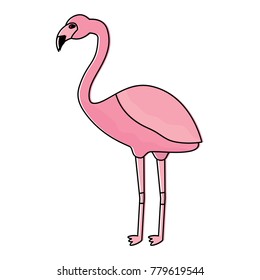 flamingo exotic bird decorative flat design