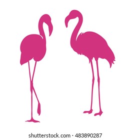 Flamingo. Exotic bird. Two pink flamingo, decorative flat design element.