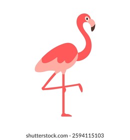 Flamingo, exotic pink bird with long neck and beak. Tropical wildlife, feathered animal standing on one leg. Beautiful tall African fauna. Flat vector illustration isolated on white background