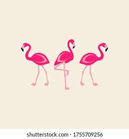 Flamingo. Exotic tropical birds characters. Vector set.