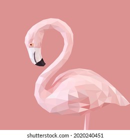Flamingo face with geometry design, low poly triangular and wire frame vector illustration EPS 10 isolated. Polygonal style trendy modern logo design. Suitable for printing on a t-shirt.