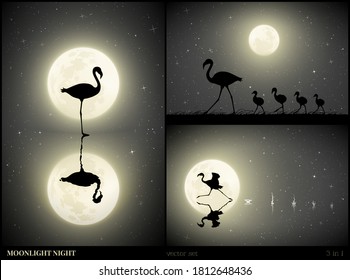 Familie Flamingo geht am Mondlichtabend spazieren. Elegante Vogelsilhouette und spritzt auf Wasser. Lauftier, das sich im See widerspiegelt. Vollmond am Sternenhimmel. Schwarz-Weiß-Vektorgrafik-Set