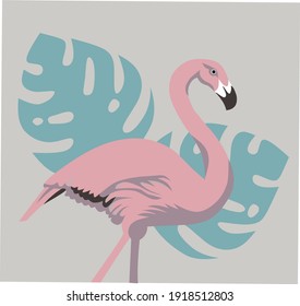 flamingo flat design vector illustration againts exotic leaf background