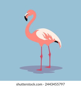 Flamingo Flat Vector Art Bird, Wildlife, Pink, Tropical, Icon.