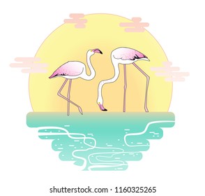 flamingo floating cute pink background sun set on beach summer