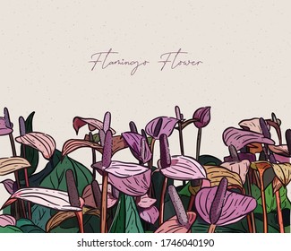 Flor de flor de flamenco o de laceleaf, vector de dibujo a mano.