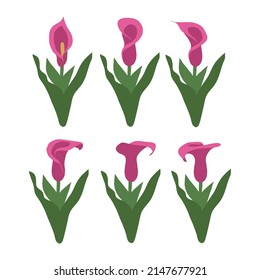 Flamingo Blumen Set Vektorgrafik-Logo-Symbole
