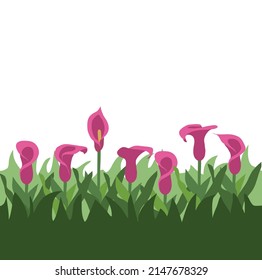 Fondo de ilustración vectorial Flamingo Flowers 