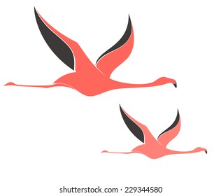 Flamingo. Flying birds on white background