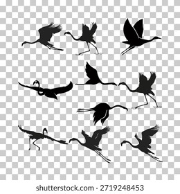 Icono de Vector volador de flamenco, pájaro tropical, conjunto de animales de verano, personaje de zoológico. Siluetas negras aisladas sobre fondo transparente. Ilustración de fauna exótica