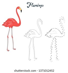 Flamingo, game for children, coloring, connect numbers