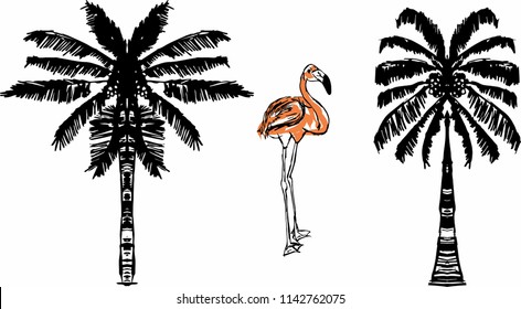 flamingo graphic design vector art