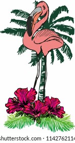 flamingo graphic design vector art