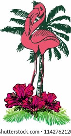 flamingo graphic design vector art