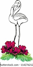 flamingo graphic design vector art