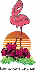 flamingo graphic design vector art