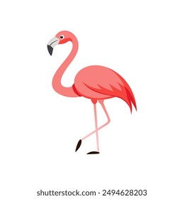 flamingo graphics design colorful enjoying