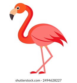 flamingo graphics design colorful enjoying