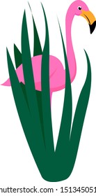 Flamingo in grass, illustration, vector on white background.