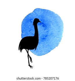 flamingo in grass silhouette, wild bird in natural environment, isolated vector element