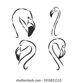 flamingo hand drawn vector llustration realistic sketch. flamingo, vector sketch illustration